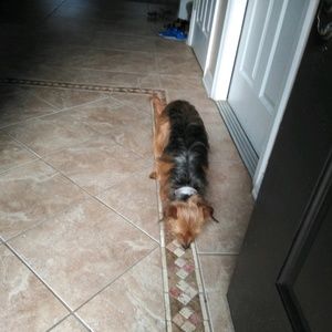 Meet your Posher, Ben